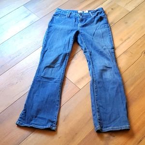 L> L Bean women's jeans